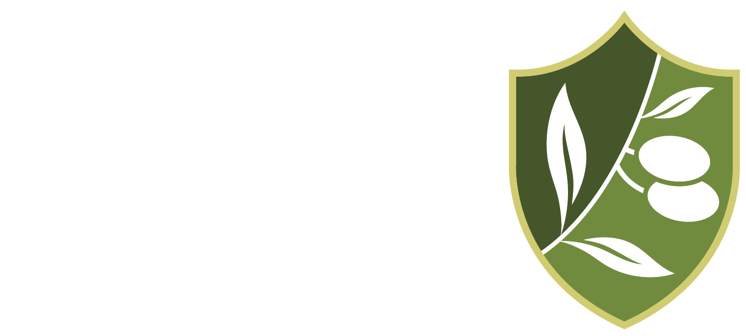 Zaytouna Logo